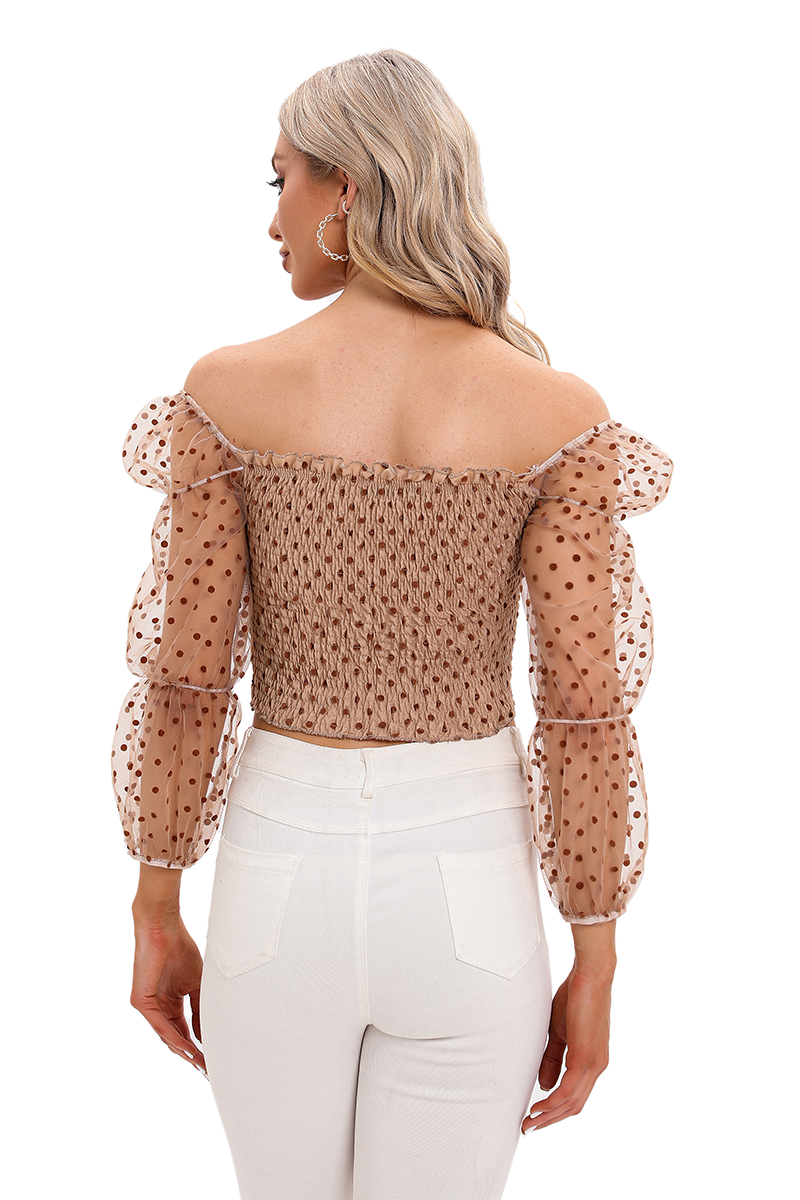 Dotted mesh sleeves top